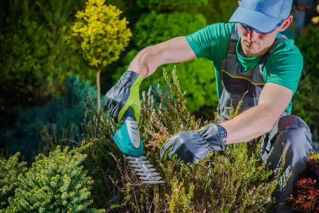 landscaping services Portage